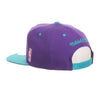 Hornets Script Snapback