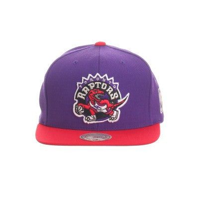 Raptors Snapback