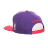 Raptors Snapback