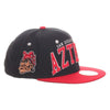 San Diego Snapback