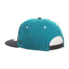 Sharks Snapback