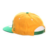 Colorado Snapback