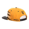 Penguins Snapback