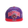 Raptors Arch Snapback