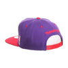 Raptors Arch Snapback