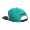 Grizzlies Arch Snapback