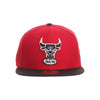 Bulls Snapback