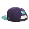 Hornets Snapback